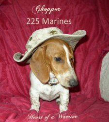 41012 chopper Marine.jpg