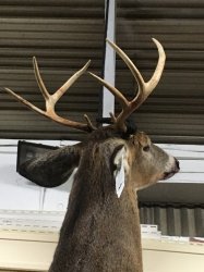 IMG_0680.JPG