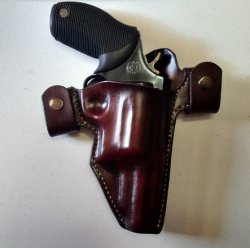 judge w gun.jpg