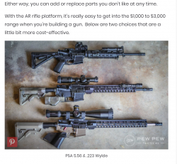 rifles.PNG
