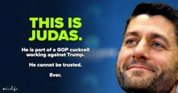 ryan judas.jpg