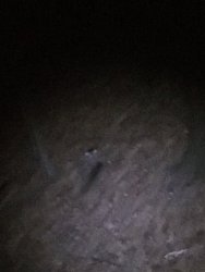 770E0481-175A-4345-821D-4C5BFD0F8981.jpeg