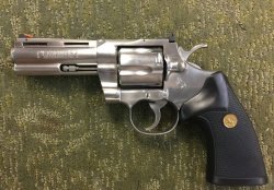 colt2.JPG