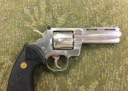 colt6.JPG