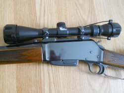 BLR 308 (1).JPG