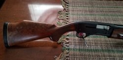 20200412_110704.jpg