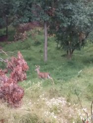 20201002_105447.jpg