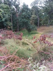 20201002_105436.jpg