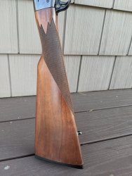 PXL_20201012_173156633.jpg