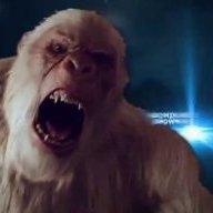 Yeti