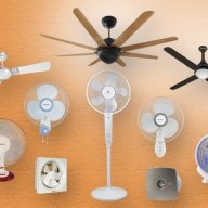 FanGuy