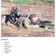 vago