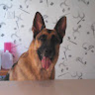 dougsa80