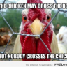 Chicken Shoot