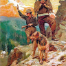 Airedale