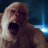 Yeti